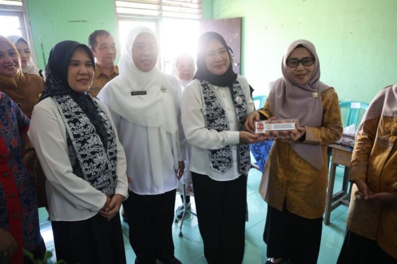 PeninjauanPelayanan Enam SPM di Posyandu Kenanga 10 Rangkasbitung Barat