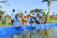 kegiatan penebaran ribuan benih ikan nila di kolam budidaya di lahan ketahanan pangan Lanud Husein Sastranegara