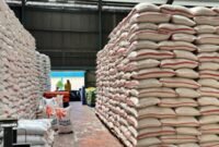 Persediaan beras di gudang Bulog terus meninggi sejak indonesia berhenti impor.(Istimewa)