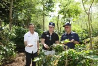 Wakil Menteri BUMN RI Kartika Wirjoatmodjo saat meninjau kebun Kopi Jawa di kawasan Ijen, Jawa Timur. Kebun dan pabrik kopi yang dikelola secara KSO oleh sub holding PTPN III (Persero), PalmCo dan SupportingCo itu terbukti mampu menjalankan program turn around melalui peningkatan produktivitas dan kinerja pemasaran serta finansial selama 3 tahun berturut-turut.