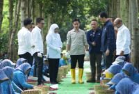 Wakil Presiden (Wapres) Gibran Rakabuming menghadiri Panen Raya Kopi Ijen di Java Coffee Estate, Bondowoso, Jawa Timur