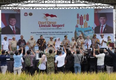 Yayasan Bhakti Bela Negara Gelar Panen Raya Padi 753 Hektare di Pandeglang