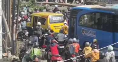 Jalan KH Hasyim Asyhari Lumpuh Sementara Akibat Pohon Tumbang