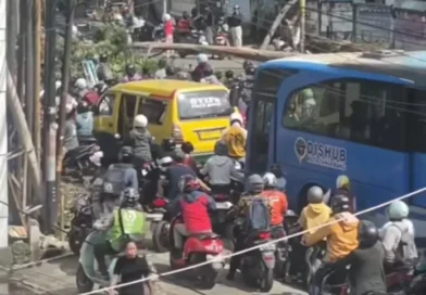 Jalan KH Hasyim Asyhari Lumpuh Sementara Akibat Pohon Tumbang