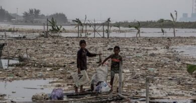 Satgas PRR Percepat Revitalisasi Tambak dan Keramba Pascabencana di Sumatera