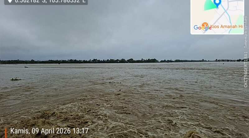 Ratusan Hektare Sawah di Sobang Terendam, Petani Berpotensi Tanam Ulang Ratusan Hektare Sawah di Sobang Terendam, Petani Berpotensi Tanam Ulang