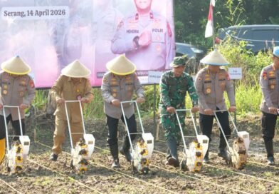Polda Banten Dukung Ketahanan Pangan Melalui Penanaman Jagung di Serang