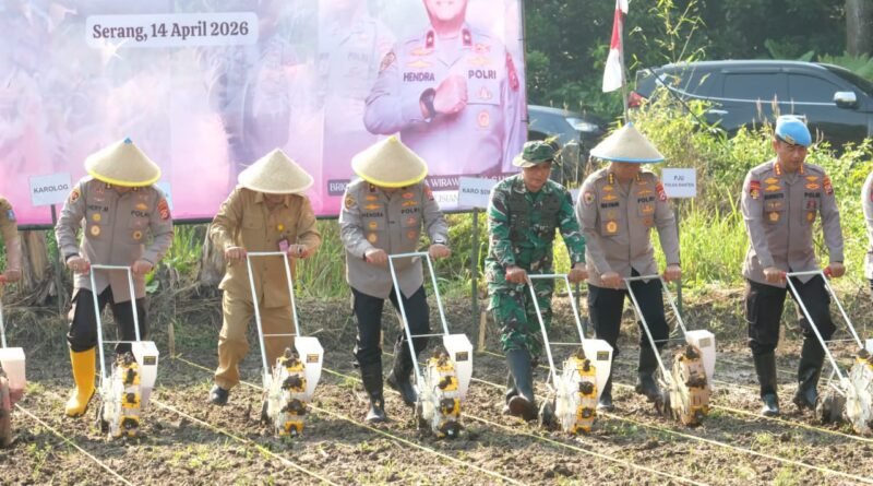 Polda Banten Dukung Ketahanan Pangan Melalui Penanaman Jagung di Serang