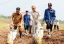 Gubernur Banten Canangkan Gerakan Tanam Jagung untuk Wujudkan Swasembada Pangan