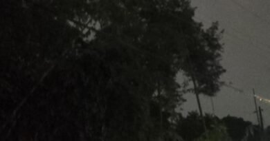 Korsleting Akibat Pohon Bambu Tumbang Gegerkan Warga Sukoharjo Sleman