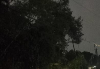 Korsleting Akibat Pohon Bambu Tumbang Gegerkan Warga Sukoharjo Sleman