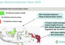 80% Daerah Bebas Malaria, Indonesia Kejar Eliminasi Malaria pada 2030