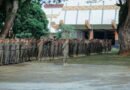 Sekdaprov Lampung Pimpin Apel Satpol PP, Tekankan Profesionalisme dan Penegakan Perda