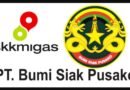 Hengki CERI: Seleksi Direksi BSP Sinyal Masalah Serius