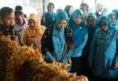 Feby Deru Blusukan ke Perajin Gambo Babat Toman, Dorong UMKM Sumsel Go Global