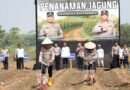 Polda Banten Tanam Jagung di Lahan 10 Hektar untuk Perkuat Ketahanan Pangan