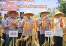 Kapolda Banten dan Kapolres Pandeglang Panen Raya Jagung Dukung Ketahanan Pangan