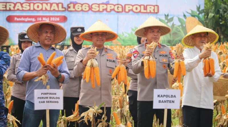 Kapolda Banten dan Kapolres Pandeglang Panen Raya Jagung Dukung Ketahanan Pangan