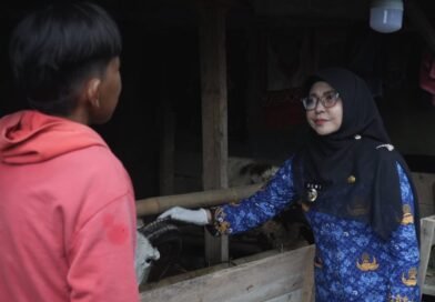 Bupati Dewi Setiani Monitoring Lapak Hewan Kurban di Pandeglang