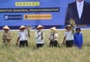 Kalapas Sumedang Dukung Program Ketahanan Pangan Terpadu Lapas Kalapas Sumedang Dukung Program Ketahanan Pangan Terpadu Lapas