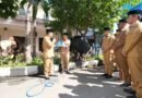 Sambut Iduladha, Mendagri Pimpin Penyerahan Hewan Kurban Guna Tingkatkan Solidaritas Sosial