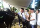 Prabowo Kirim 18 Sapi Kurban ke Sumsel, Herman Deru Pastikan Distribusi untuk Mustahik