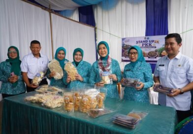 Feby Herman Deru Monitoring 10 Program Pokok PKK di Muratara, Resmikan Galeri UMKM