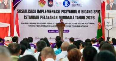 Posyandu Kini Layani Enam Bidang SPM, Ketum TP Posyandu Dorong Penguatan Peran di Desa