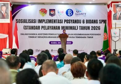 Posyandu Kini Layani Enam Bidang SPM, Ketum TP Posyandu Dorong Penguatan Peran di Desa