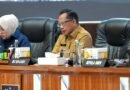 Antisipasi El Nino, Mendagri Minta Kepala Daerah Tingkatkan Kesiapsiagaan