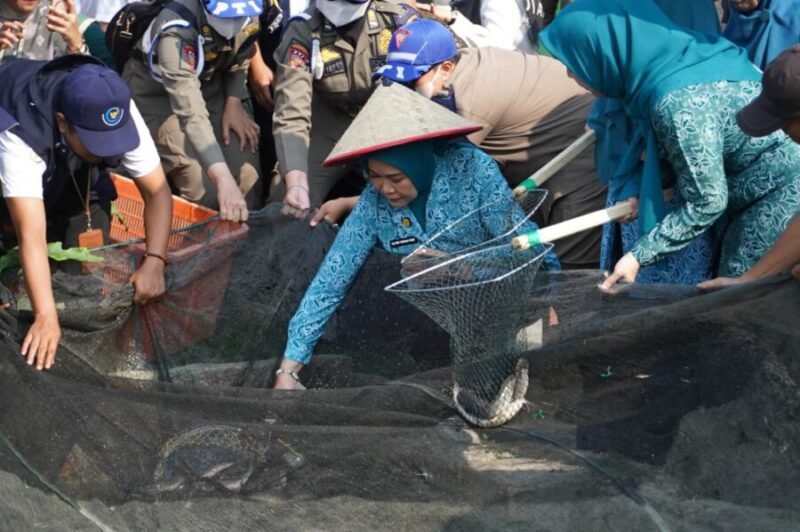 Ketua TP PKK Sumsel ikut serta menjaring ikan lele dalam kegiatan panen raya di lahan irigasi Desa Tanjung Mas