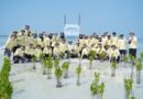 PHI Buktikan Komitmen Lingkungan Lewat Rehabilitasi Ekosistem Pesisir Pulau Pari