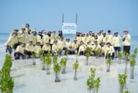 Dokumentasi PT Pertamina Hulu Indonesia (PHI) terhadap pelestarian lingkungan melalui aksi rehabilitasi ekosistem pesisir