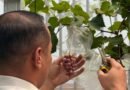 Program Pembinaan Berbuah Hasil, Lapas Kelas IIA Serang Panen Blewah dan 10 Varietas Anggur Program Pembinaan Berbuah Hasil, Lapas Kelas IIA Serang Panen Blewah dan 10 Varietas Anggur