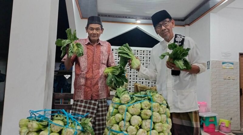Takmir NHK Borong Sawi, Petani Tersenyum Jamaah Ikut Bahagia Takmir NHK Borong Sawi, Petani Tersenyum Jamaah Ikut Bahagia