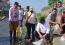 Selamatkan Sungai Code, Hasto Dorong Gerakan Bersama Masyarakat Rawat Sumber Daya Air
