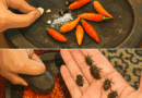 Sambal Beser Khas Gunungkidul, Sensasi Pedas Autentik yang Menggoda Lidah Nusantara
