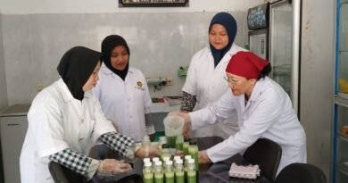 Inovasi UWM: Yogurt Berbahan Seledri Hadir dengan Kandungan Antioksidan Tinggi