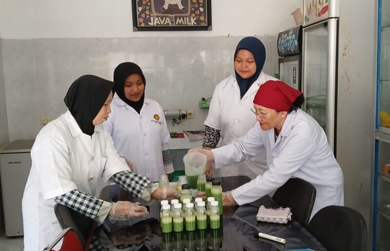 Inovasi UWM: Yogurt Berbahan Seledri Hadir dengan Kandungan Antioksidan Tinggi