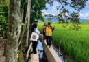 Satgas PRR Dorong Nagan Raya Percepat Rehabilitasi Sawah Jelang Musim Tanam