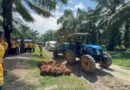 Tingkatkan Produktivitas Sawit, LPP Agro Perkuat Kompetensi Pekebun