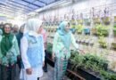 Sekolah Sehat Harus Jadi Budaya Sehari-hari, Bukan Sekadar untuk Perlombaan