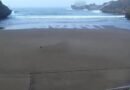 Pantai Baron Berubah Drastis Usai Diterjang Gelombang Pasang, Wisatawan Tak Perlu Lagi Menyeberang