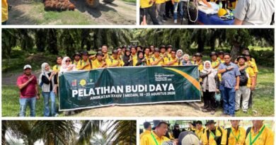 BPDP Perkuat Kompetensi Pekebun Sawit Labusel, Produktivitas Jadi Fokus Utama