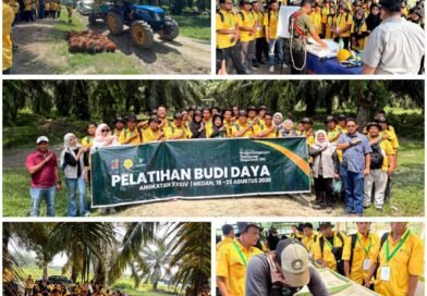 BPDP Perkuat Kompetensi Pekebun Sawit Labusel, Produktivitas Jadi Fokus Utama