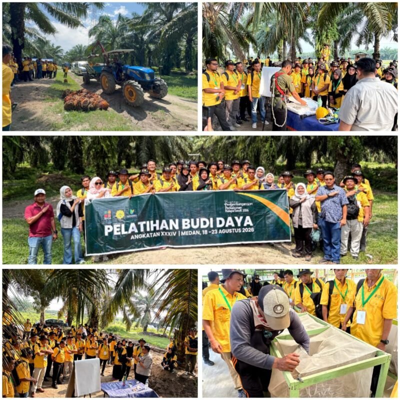 BPDP Perkuat Kompetensi Pekebun Sawit Labusel, Produktivitas Jadi Fokus Utama