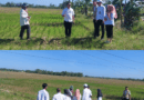 17 Kecamatan di Pandeglang Dilanda Kekeringan, Ratusan Hektare Sawah Terancam