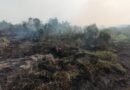 Herman Deru Bersama Kepala BNPB dan Menhut Tinjau Langsung Karhutla di Tol Kayu Agung-Palembang Herman Deru Bersama Kepala BNPB dan Menhut Tinjau Langsung Karhutla di Tol Kayu Agung-Palembang