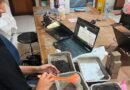 Mahasiswa UMY Kembangkan Material Tahan Gempa Berbasis Serat Bambu Mahasiswa UMY Kembangkan Material Tahan Gempa Berbasis Serat Bambu