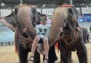 DEP Extravaganza 10, DEPpreneur Berprestasi Dapat Kesempatan Jelajahi Thailand